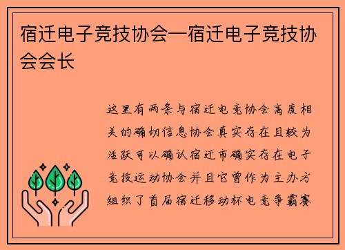 宿迁电子竞技协会—宿迁电子竞技协会会长